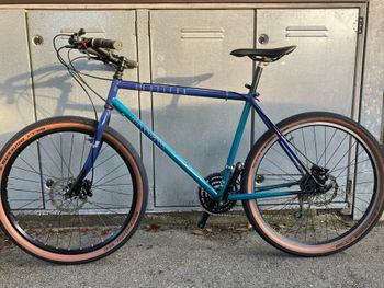 Cinelli, Senriero Disc Custom