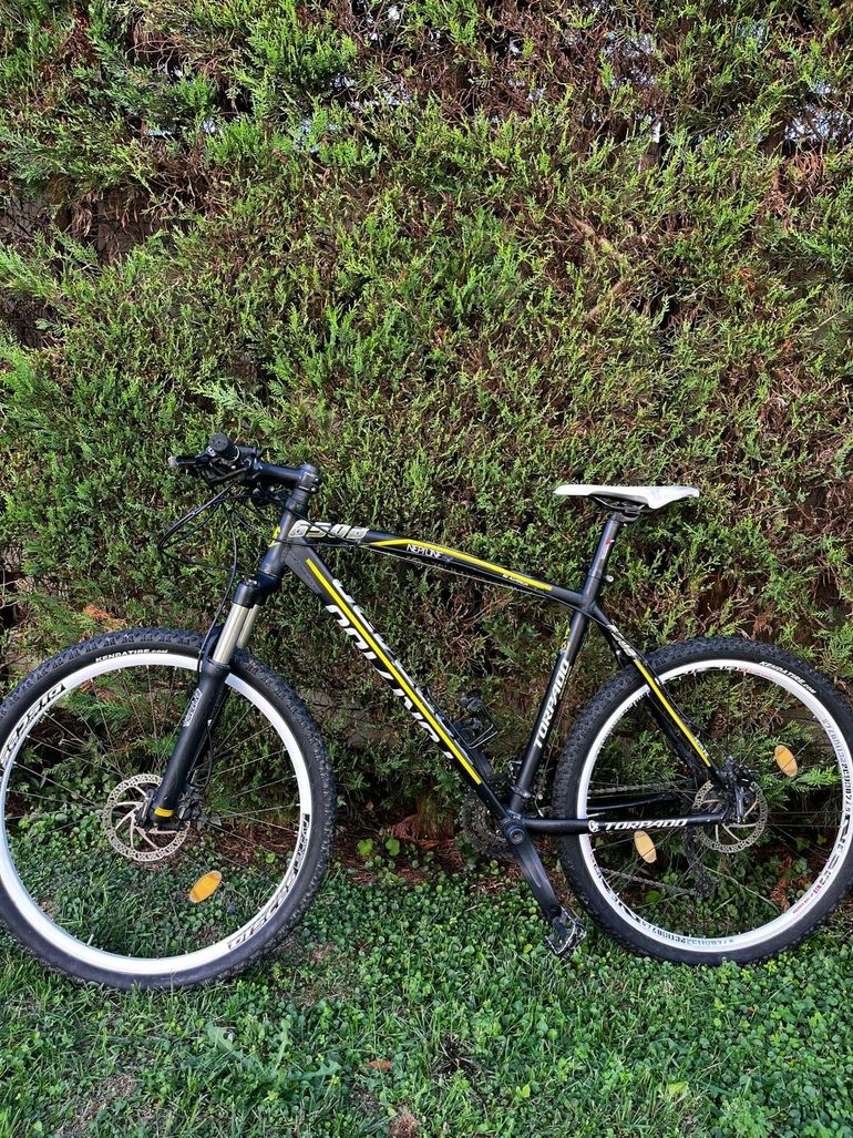 Bici Torpado Neptune 650b Torpado Plus Torpado Jupiter 27