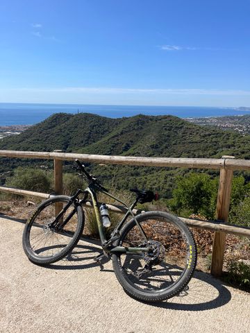 Used Orbea Alma Shimano Deore XT 2019 Mountainbike, Green, 29 — image 8 of 8