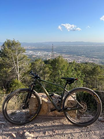 Used Orbea Alma Shimano Deore XT 2019 Mountainbike, Green, 29 — image 7 of 8