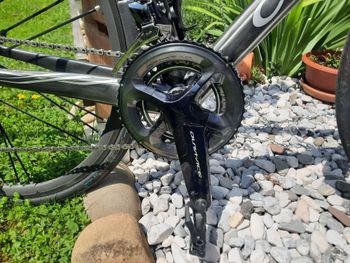 Used Colnago Kolo C64 DURA ACE 11 2021 Road & Gravel, Light Gray — image 2 of 9