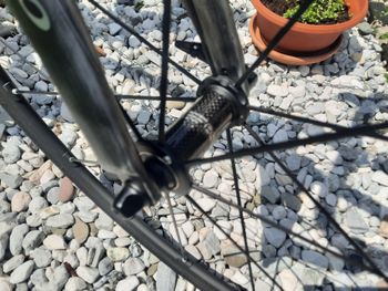 Used Colnago Kolo C64 DURA ACE 11 2021 Road & Gravel, Light Gray — image 5 of 9