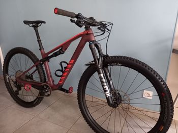 Used Canyon Lux Trail CF 6 2023 2023 Mountainbike, Red, 29 — image 8 of 9