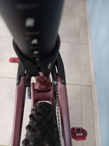 Used Canyon Lux Trail CF 6 2023 2023 Mountainbike, Red, 29 — image 9 of 9