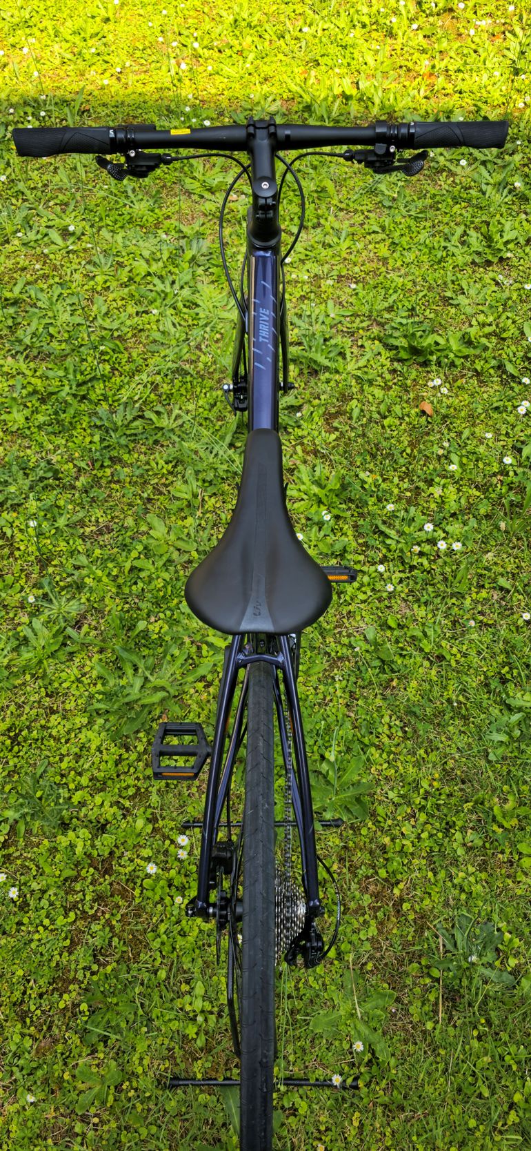 Used Liv Thrive 1 2024 2022 Road & Gravel, Blue — image 10 of 10