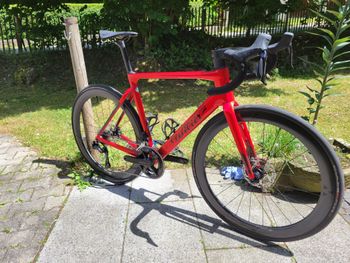 Used Wilier Filante SL 2025 2025 Road & Gravel