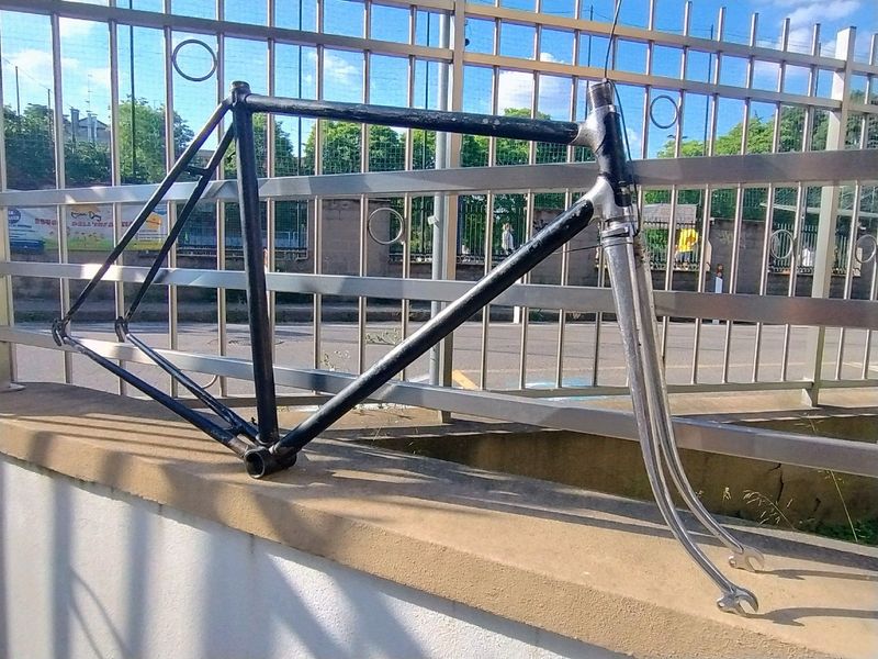 Used Frejus Superleggera 1946 1967 Road & Gravel