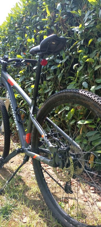 Used ROCKRIDER Rockrider St 120 2022 Mountainbike, Light Gray — image 4 of 4