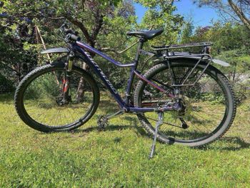 Used Specialized Jett Comp 29 2017 2017 Mountainbike, Purple, 29 — image 22 of 23