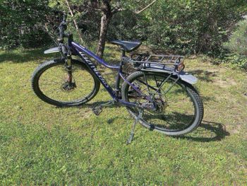 Used Specialized Jett Comp 29 2017 2017 Mountainbike, Purple, 29 — image 1 of 23