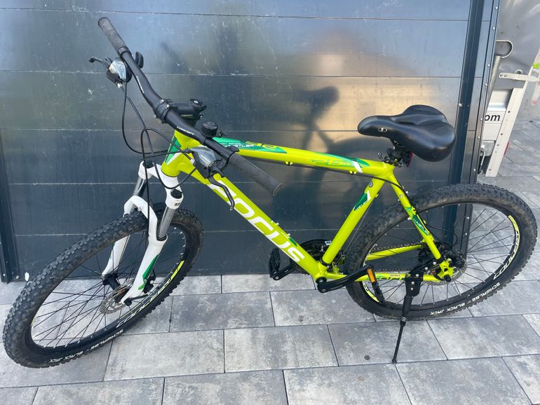 Mtb Focus Whistler 26 Focus Whistler 2019