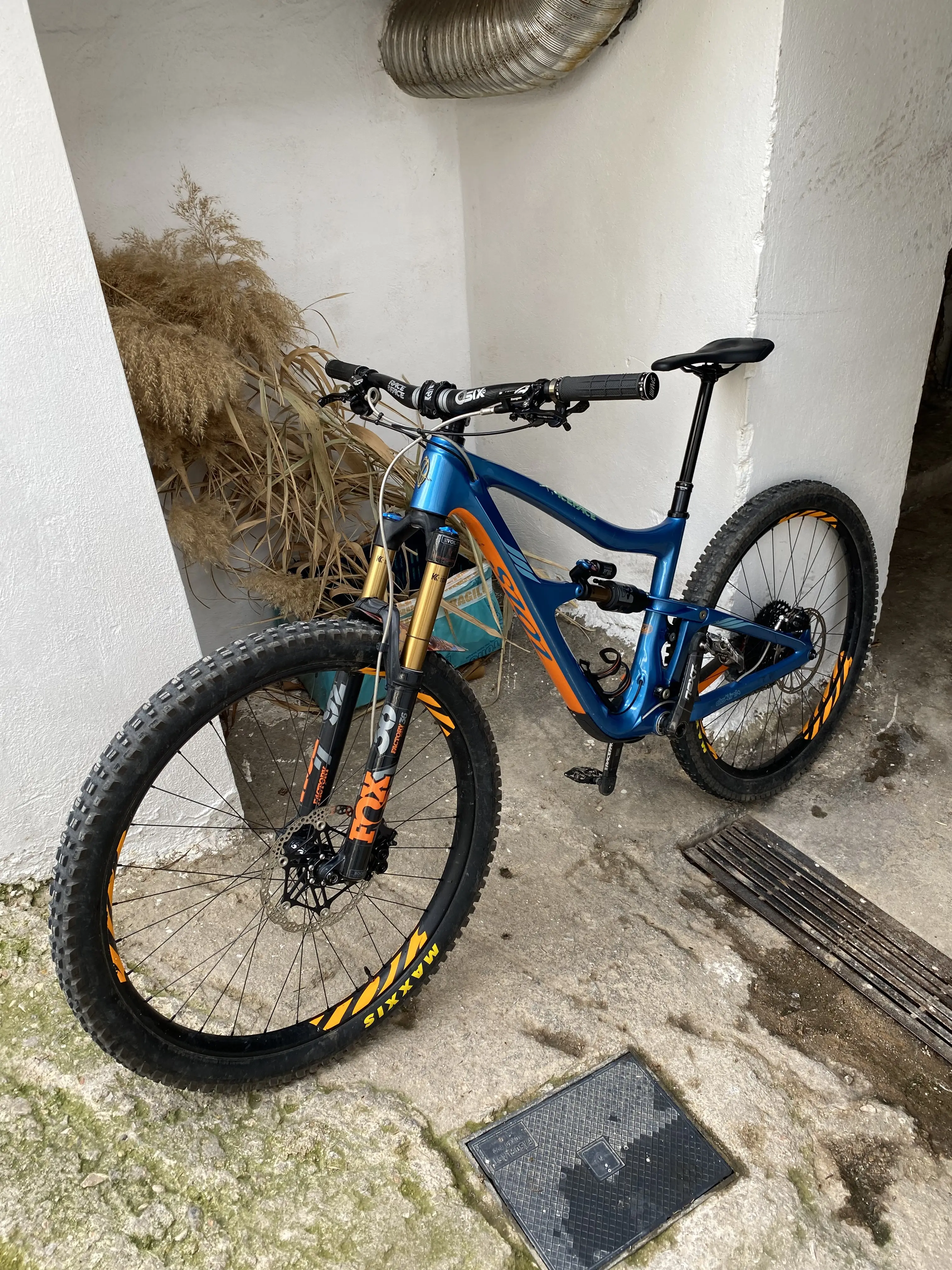 Ibis ripmo v1 online for sale