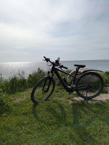 Used Focus Aventura 2022 Mountainbike, Orange — image 2 of 3