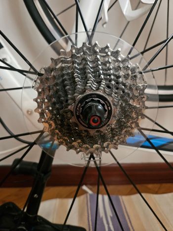 Used Trek Alpha 200 2021 Road & Gravel, White — image 11 of 11