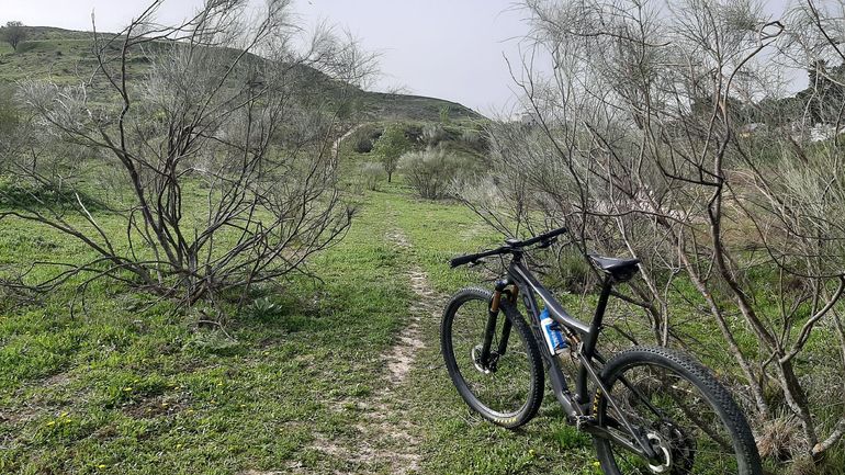 Used Orbea OIZ M10 2020 2020 Mountainbike, Light Gray, 29 — image 2 of 10