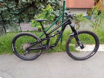 Canyon, Torque Mullet CF 8 2024