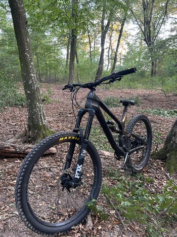 Used Canyon Torque CF 8.0 2020 2020 Mountainbike, Black, 27.5 — image 1 of 11