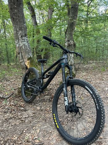 Used Canyon Torque CF 8.0 2020 2020 Mountainbike, Black, 27.5 — image 2 of 11