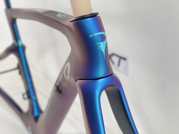 Pinarello Dogma F Disc Frameset 2025 Road & Gravel d'occasion — image 6 sur 9
