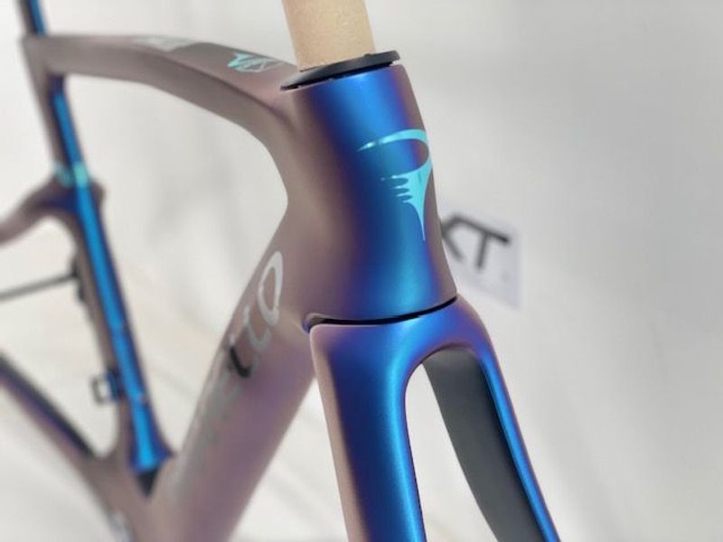 Pinarello Dogma F Disc Frameset 2025 Road & Gravel d'occasion — image 6 sur 9