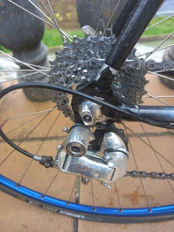 Used Colnago C40 1999 Road & Gravel — image 4 of 5
