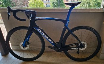 Used Pinarello Pinarello F12 2025 Road & Gravel, Blue — image 1 of 14