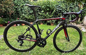 Trek, Émonda SL 6 Pro 2019