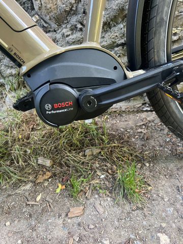 Used Breezer Powerwolf 2024 Road & Gravel, Green — image 3 of 8