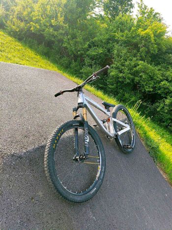 Used Dartmoor Shine Pro 2016 2016 Mountainbike, Light Gray — image 5 of 5