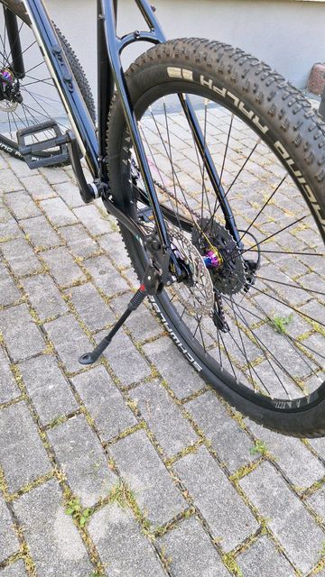 Used BULLS Copperhead 3 Rainbow 29 2021 2021 Mountainbike, Light Gray, 29 — image 9 of 12