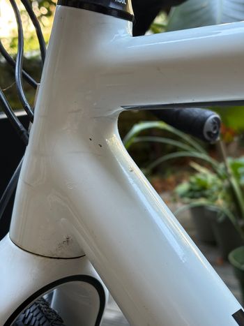 Rose Pro DX Cross 2017 Road & Gravel usato, Bianco — immagine 6 di 13