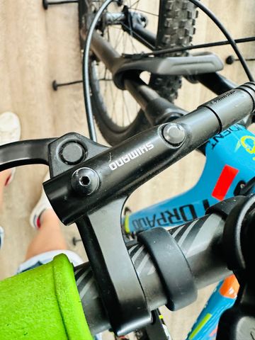 Used torpado. Ribot X 2021 Mountainbike, Blue — image 10 of 17