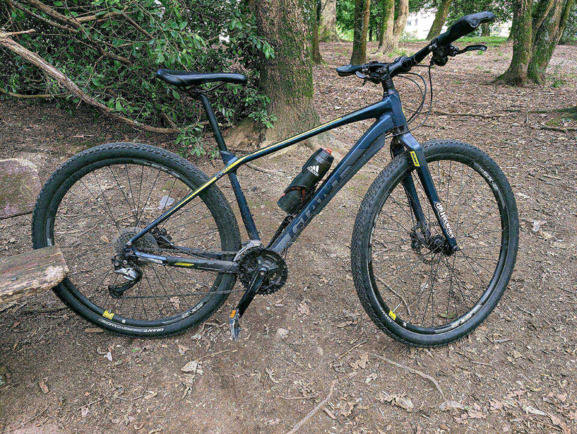 自転車本体 2019 GIANT TCR SLR2 wh-rs81 c50 2019 GIANT Bicycles