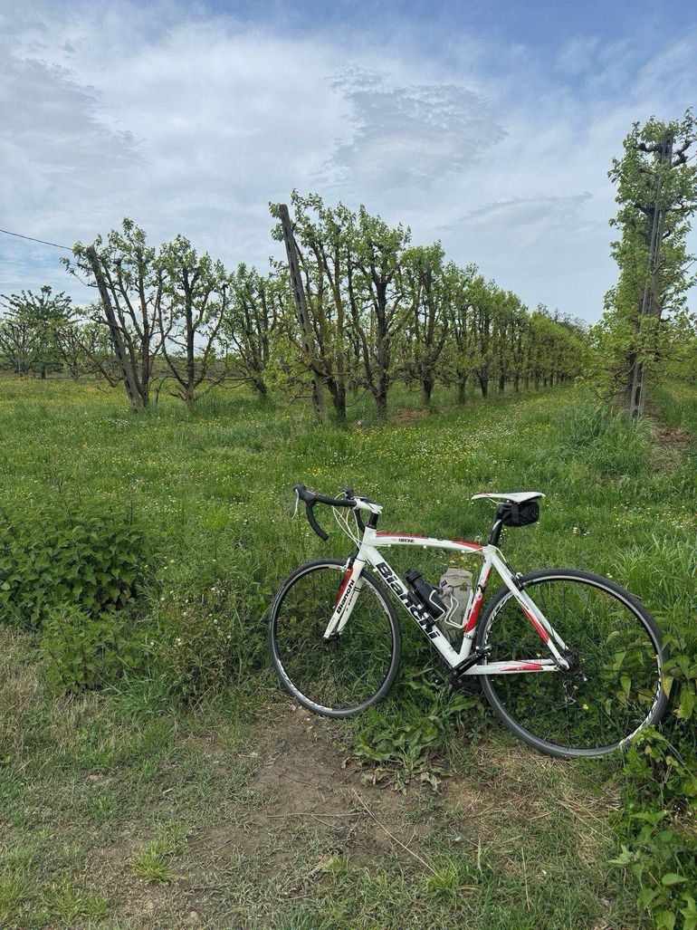 Used Bianchi Via Nirone Shimano Sora 2010 Road & Gravel, White — image 6 of 7