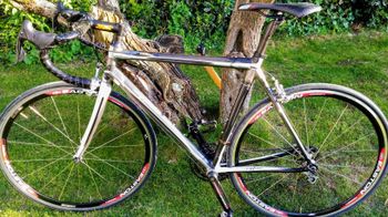 Used Cyfac Gothica 2000 Road & Gravel, Light Gray — image 1 of 5