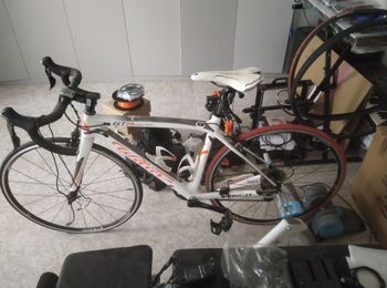 Used Wilier GTR GRANTURISMO TRIESTINA 2014 Road & Gravel, White — image 15 of 15