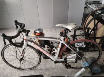 Used Wilier GTR GRANTURISMO TRIESTINA 2014 Road & Gravel, White — image 13 of 15