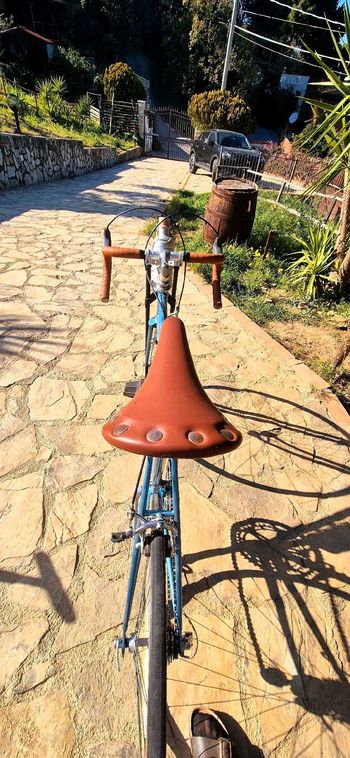 Used Bianchi Sprint 1974 Road & Gravel, Blau — image 6 of 10