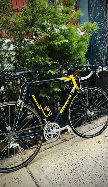 Used Bianchi Veloce 2002 Road & Gravel, Blue — image 14 of 18