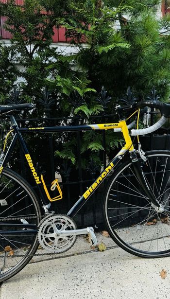 Used Bianchi Veloce 2002 Road & Gravel, Blue — image 13 of 18