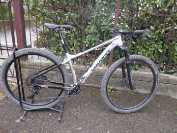 Used Lee Cougan Revenge 2023 2023 Mountainbike, Light Gray, 29 — image 6 of 6