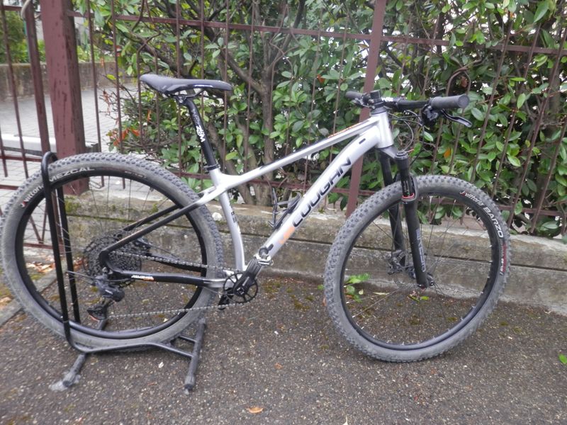 Used Lee Cougan Revenge 2023 2023 Mountainbike, Light Gray, 29 — image 6 of 6