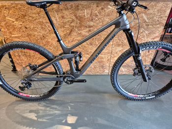 Transition, Sentinel Carbon XT 2021