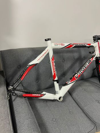Used Viner Magnifica Frameset 2020 Road & Gravel, White — image 3 of 7