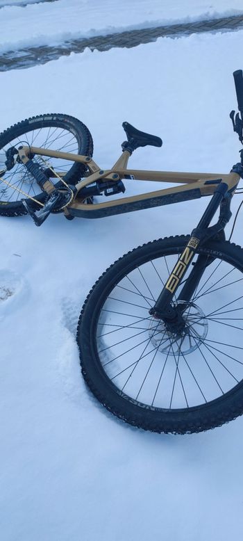 Used Rose SCRUB SC 2023 2023 Mountainbike, Orange, 27.5 — image 6 of 7