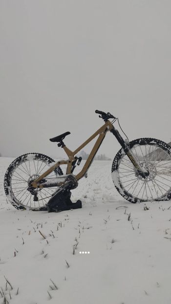 Used Rose SCRUB SC 2023 2023 Mountainbike, Orange, 27.5 — image 5 of 7