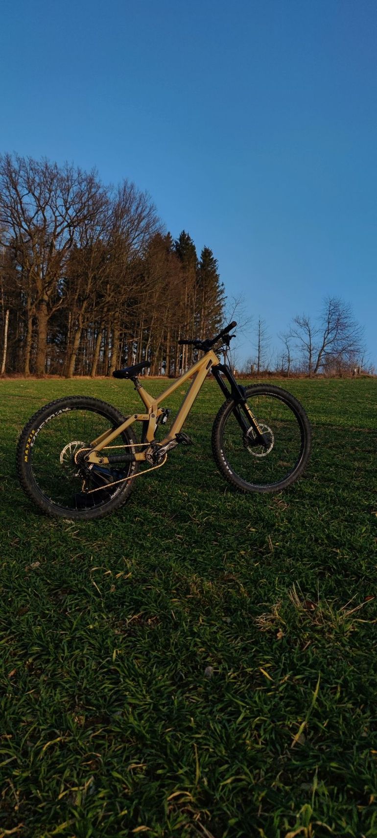 Used Rose SCRUB SC 2023 2023 Mountainbike, Orange, 27.5 — image 2 of 7
