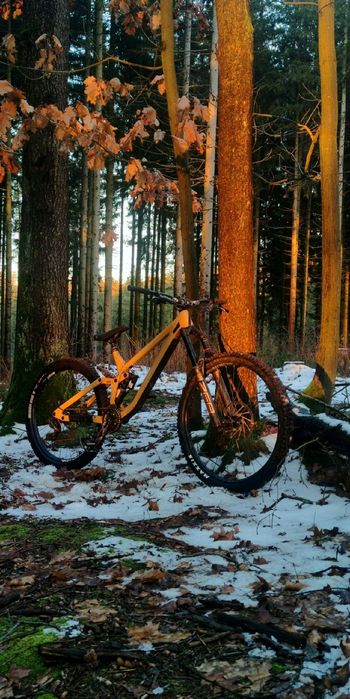 Used Rose SCRUB SC 2023 2023 Mountainbike, Orange, 27.5 — image 4 of 7