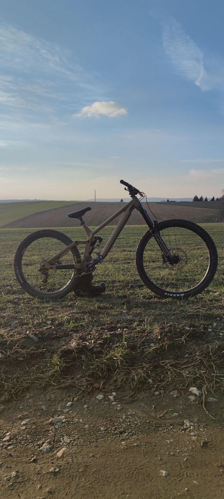 Used Rose SCRUB SC 2023 2023 Mountainbike, Orange, 27.5 — image 3 of 7