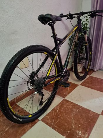 Used Bergamont Bergamont Revox 6.3 Xt 29" Talla L 2025 Mountainbike — image 13 of 16